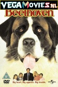  Beethoven (1992) Dual Audio {Hindi-English} 480p [300MB] | 720p [900MB]