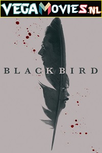  Black Bird (2022) Season 1 [S01E06 Added] [English With Hindi - English Subtitles] Appletv- Original 720p HEVC [250MB] WEB-DL