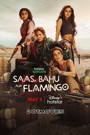  Saas Bahu Aur Flamingo (Season 1) Hindi Disney- Hotstar Complete WEB Series 480p | 720p | 1080p WEB-DL