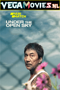  Under the Open Sky (2020) Hindi [Voice Over] Full Movie WeB-DL 720p [1.1GB]